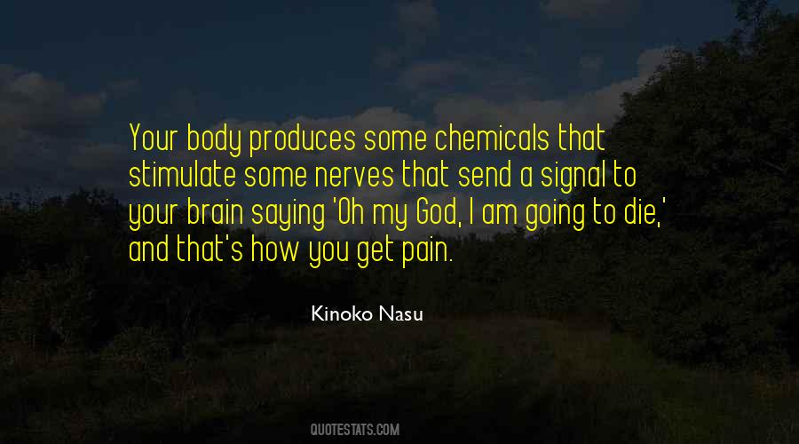 No Brain No Pain Quotes #580434