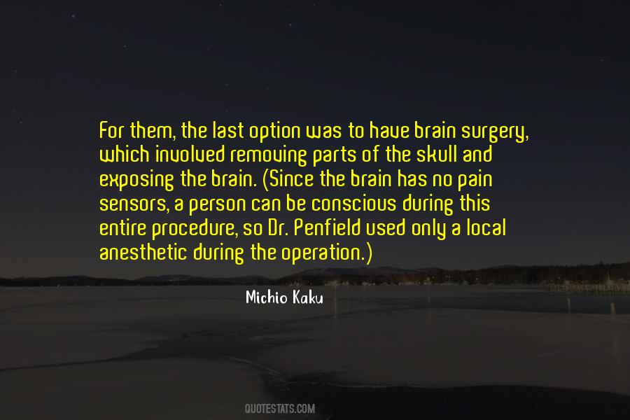 No Brain No Pain Quotes #686664