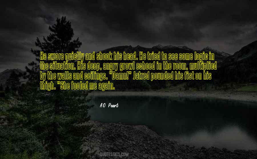 No Ceilings Quotes #380106