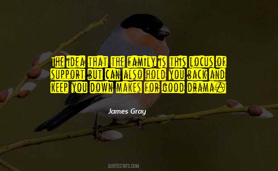 No Family Drama Quotes #451791