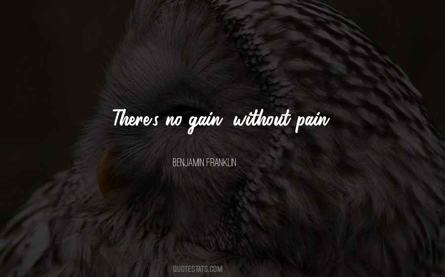 No Gain Without Pain Quotes #1164300
