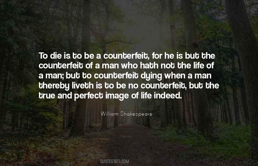 No Life Is Perfect Quotes #1224760
