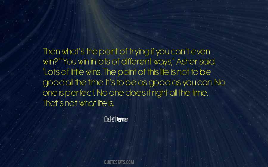 No Life Is Perfect Quotes #308425