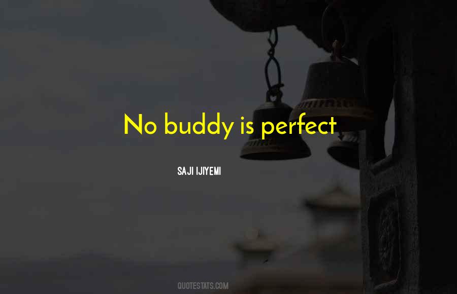 No Life Is Perfect Quotes #536541