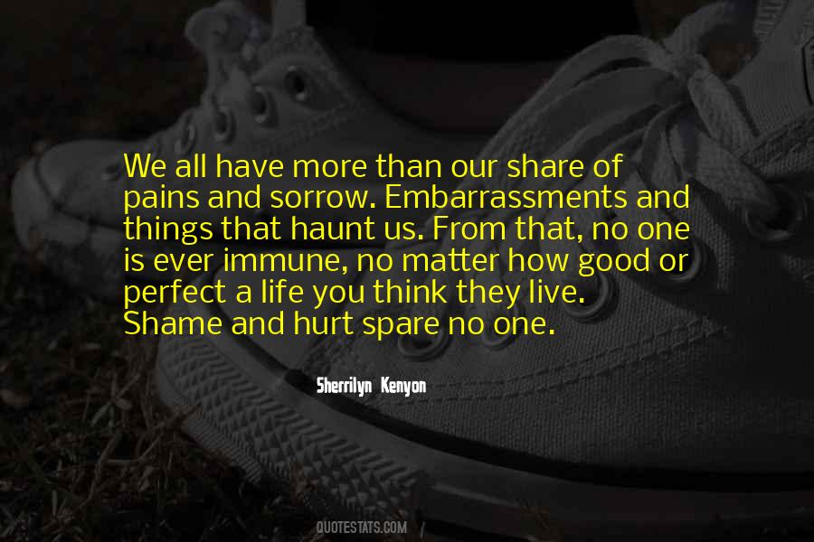 No Life Is Perfect Quotes #713623