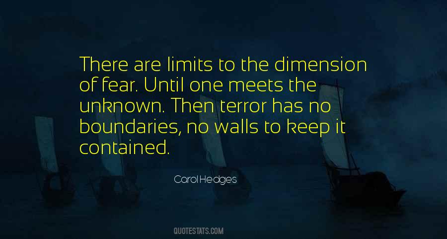 No Limits No Boundaries Quotes #451257