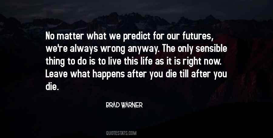 No Matter What Happens In The Future Quotes #1638819