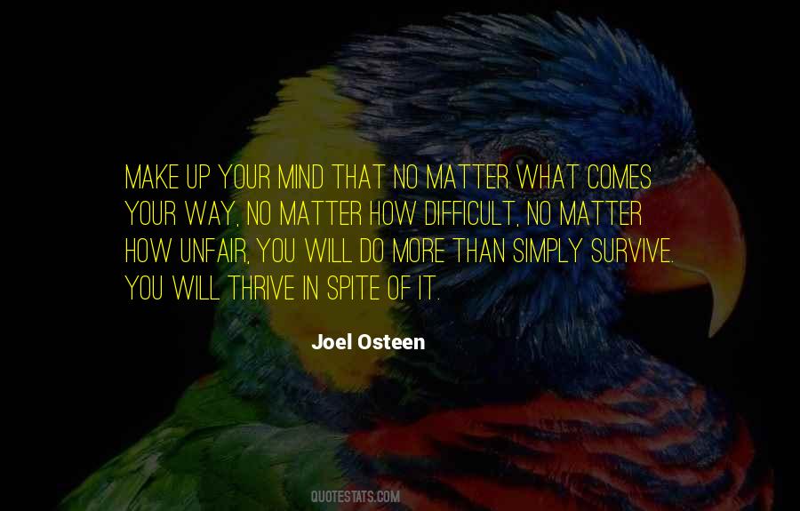 No Matter What I Will Survive Quotes #461465