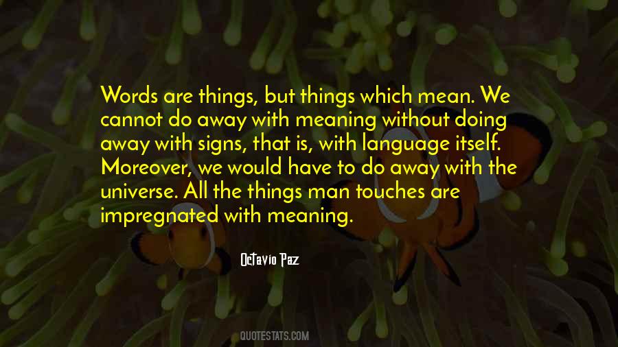 No Meaning Quotes #4787