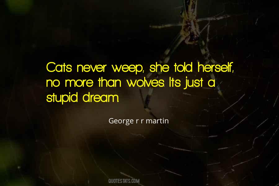 No More Dream Quotes #467237