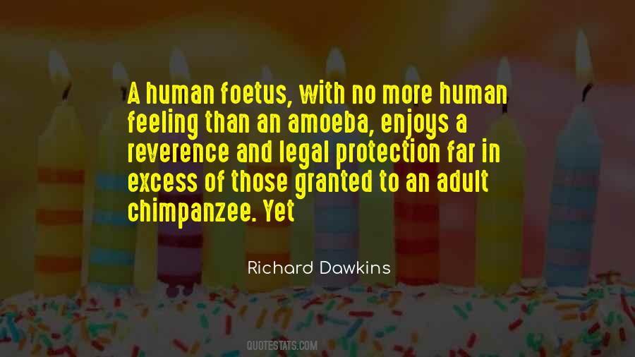 No More Feeling Quotes #1086574