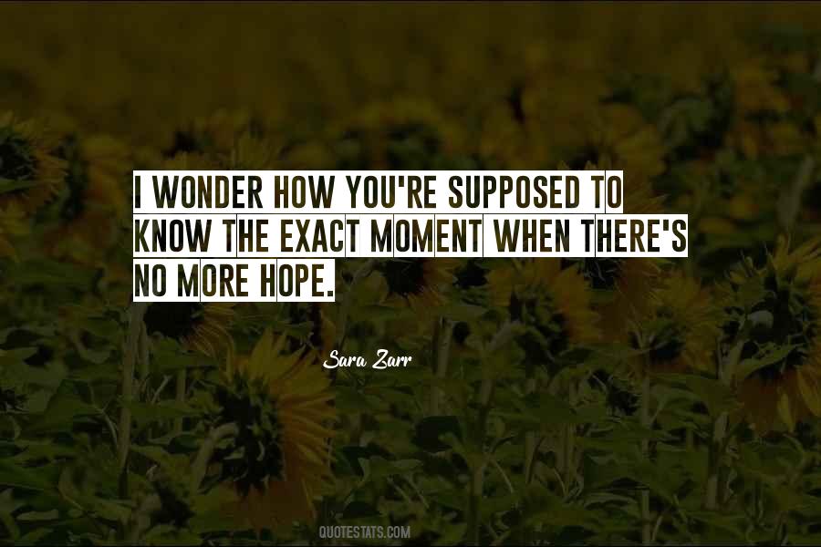 No More Hope Quotes #844108