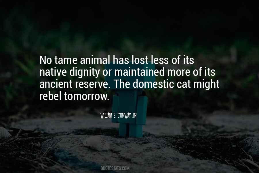 No More Tomorrow Quotes #581103