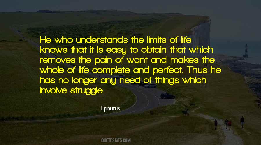 No One Knows Your Struggle Quotes #1206071