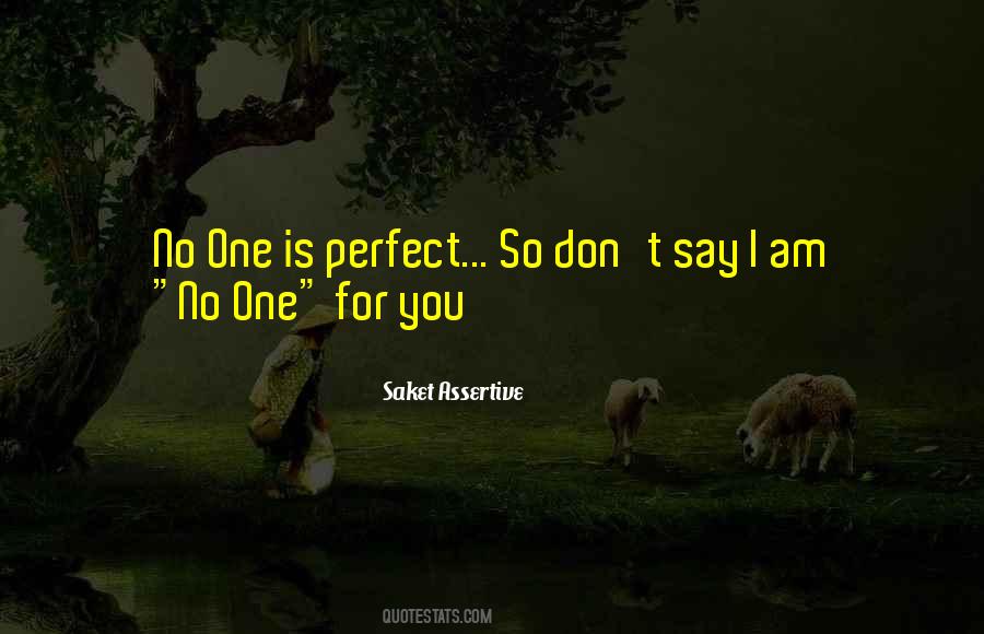 No One Perfect Quotes #44816