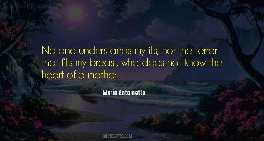 No One Understands Quotes #1578809