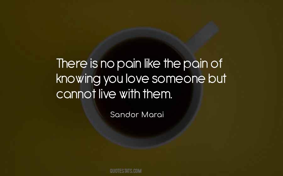 No Pain No Love Quotes #790168