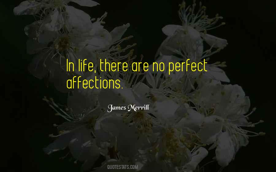 No Perfect Life Quotes #1280067