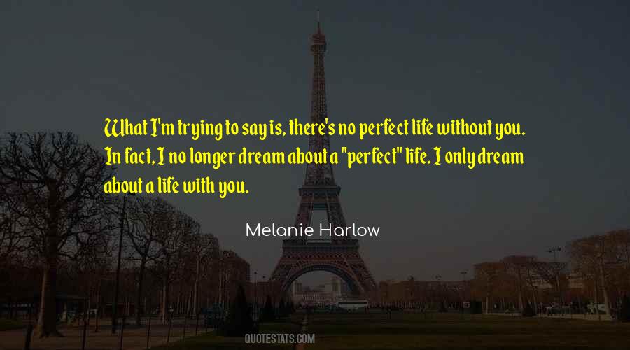 No Perfect Life Quotes #927723