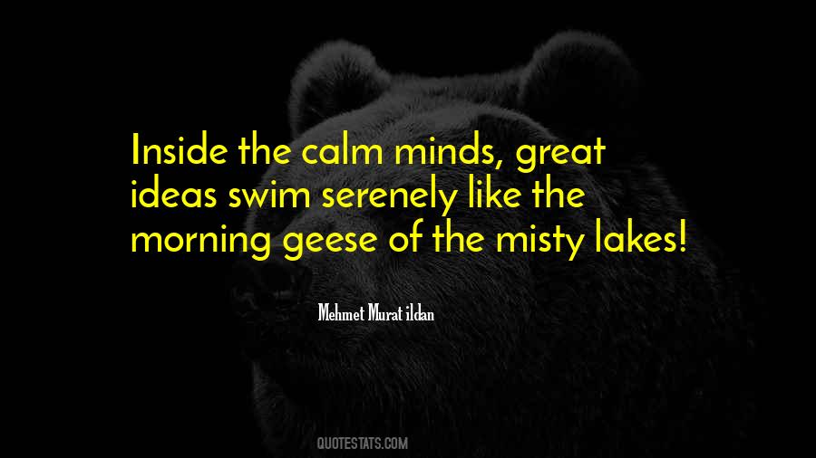 Quotes About Calm Mind #167390