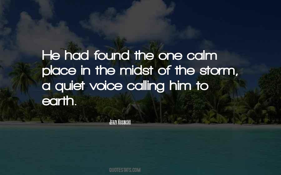 Quotes About Calm In The Storm #1644606