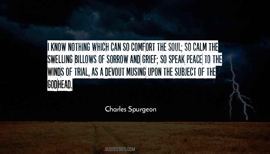 Quotes About Calm And Peace #1065482