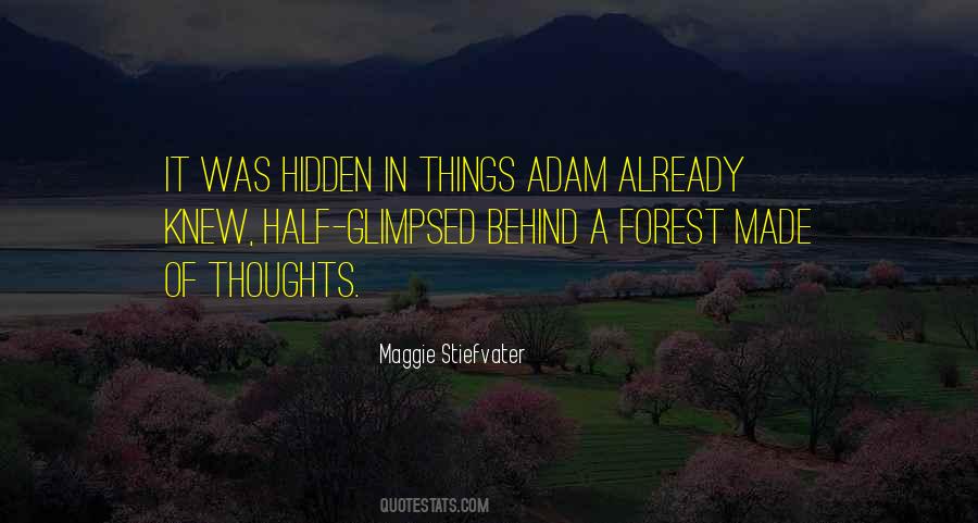 No Secrets Can Be Hidden Quotes #485755