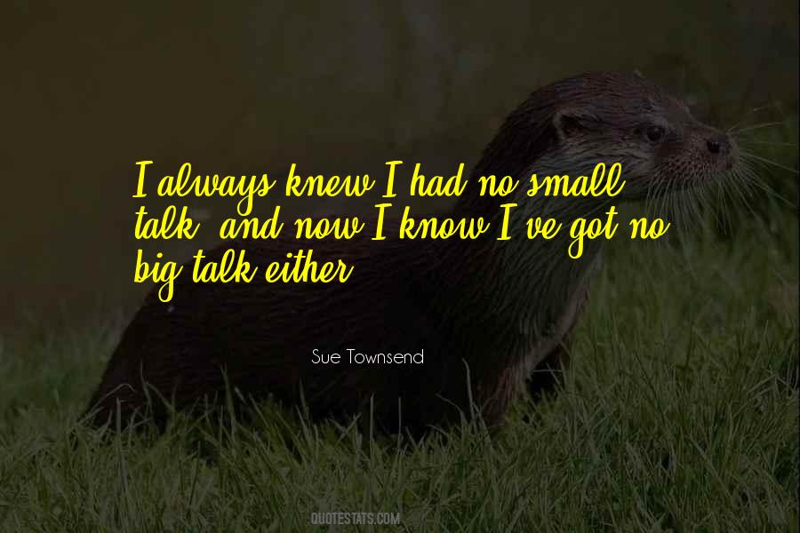 No Small Talk Quotes #887309