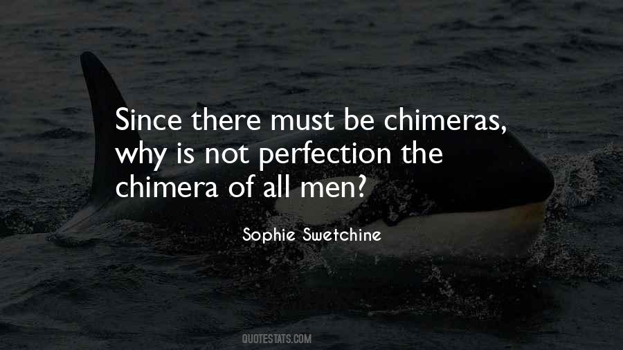 No Such Thing Perfection Quotes #10283