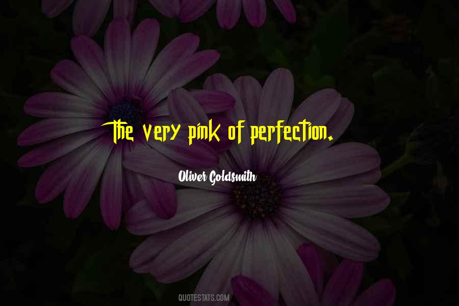 No Such Thing Perfection Quotes #28