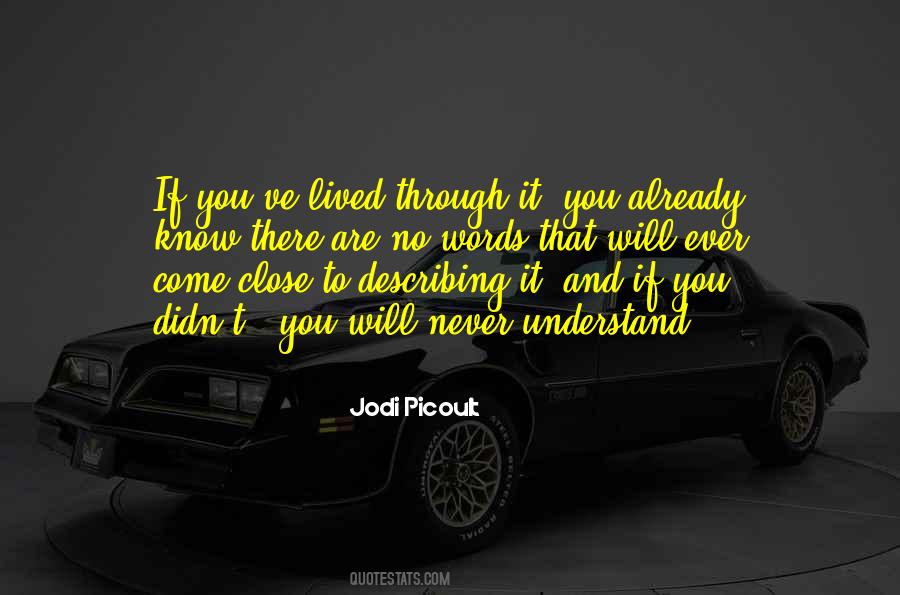 No You Didn't Quotes #251201