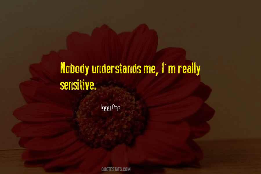 Nobody Can Understands Me Quotes #1021466