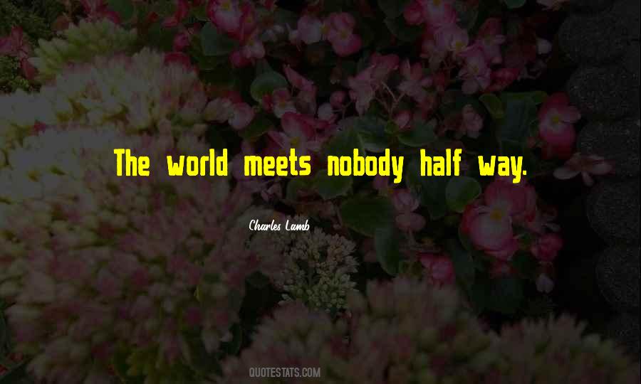 Nobody Is Yours In This World Quotes #30605