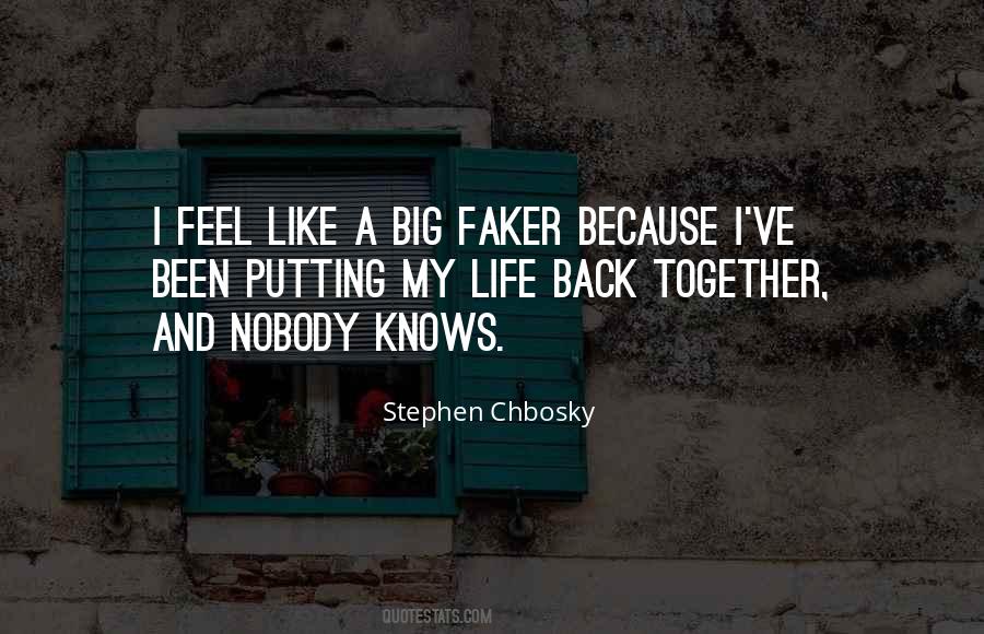 Nobody Knows My Life Quotes #1233562