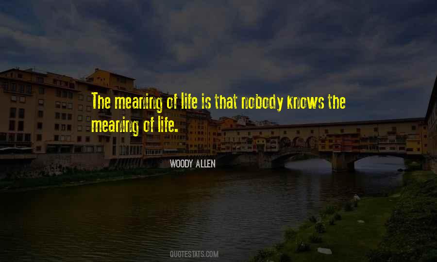 Nobody Knows My Life Quotes #654427