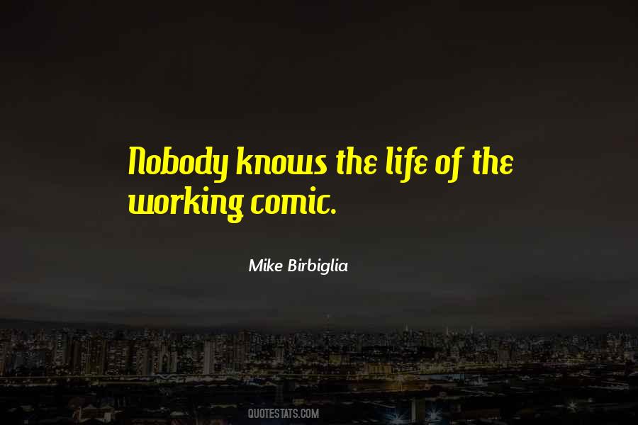 Nobody Knows My Life Quotes #730513