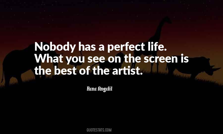 Nobody's Life Is Perfect Quotes #1782315