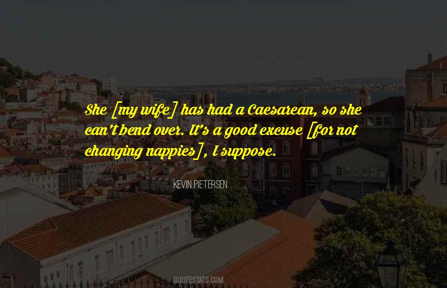 Not A Good Wife Quotes #612791