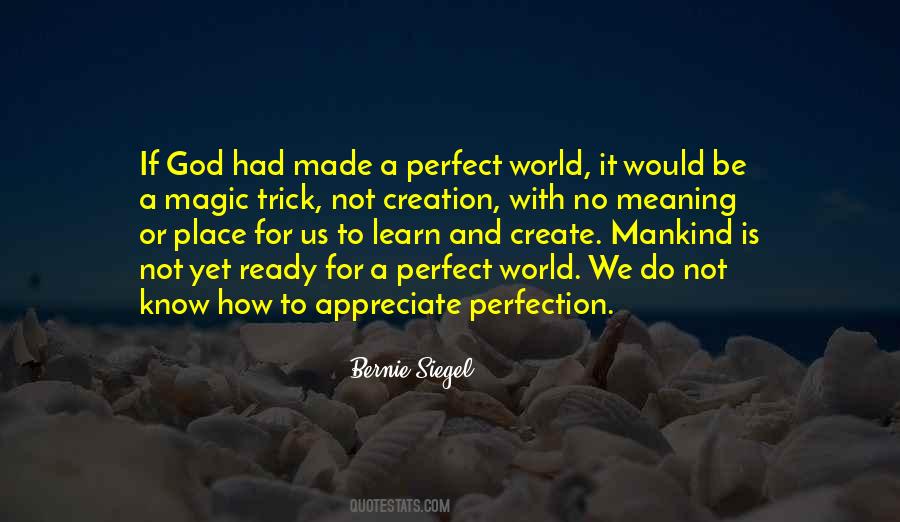 Not A Perfect World Quotes #1063771