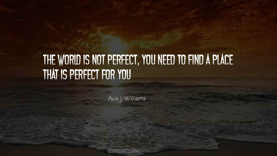 Not A Perfect World Quotes #405432