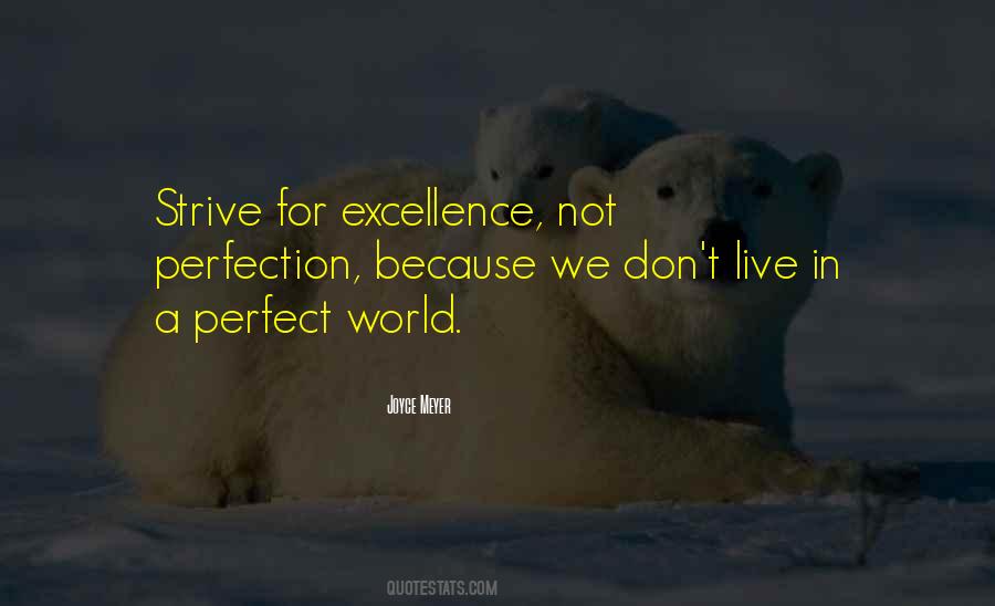 Not A Perfect World Quotes #73911