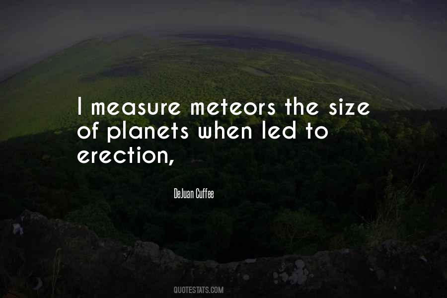 Not A Size 0 Quotes #16901