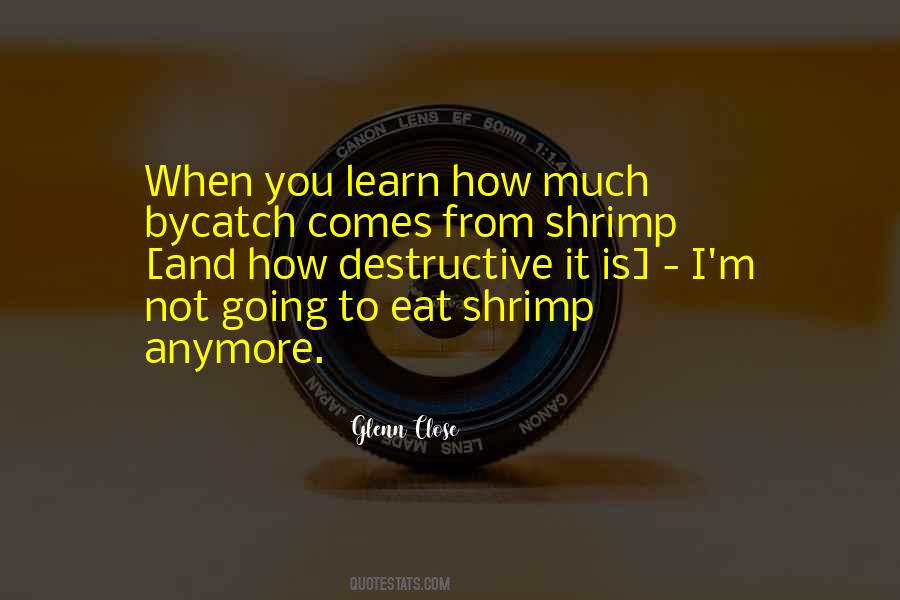 Not Close Anymore Quotes #1248338