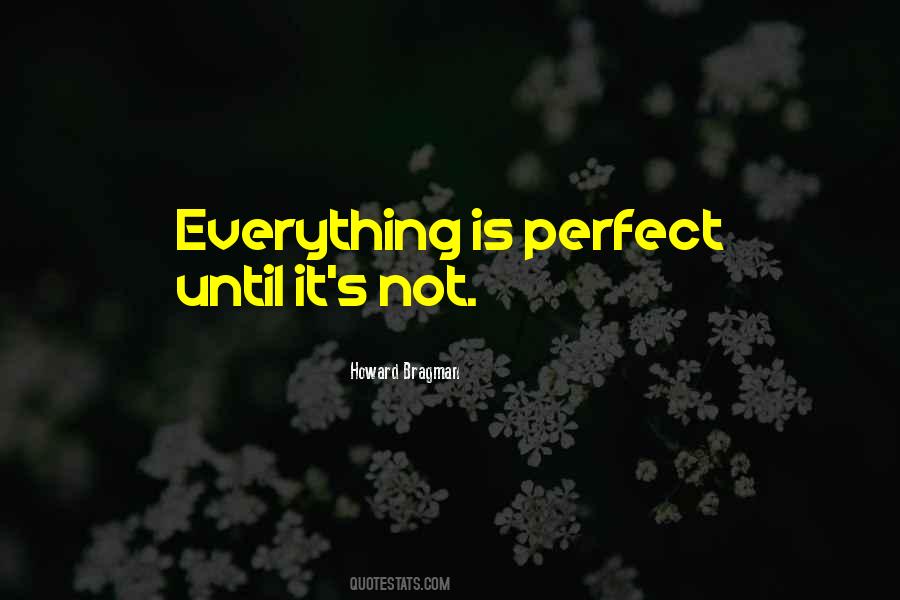 Not Everything Is Perfect Quotes #1873285