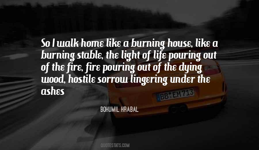 Quotes About Burning House #1603593