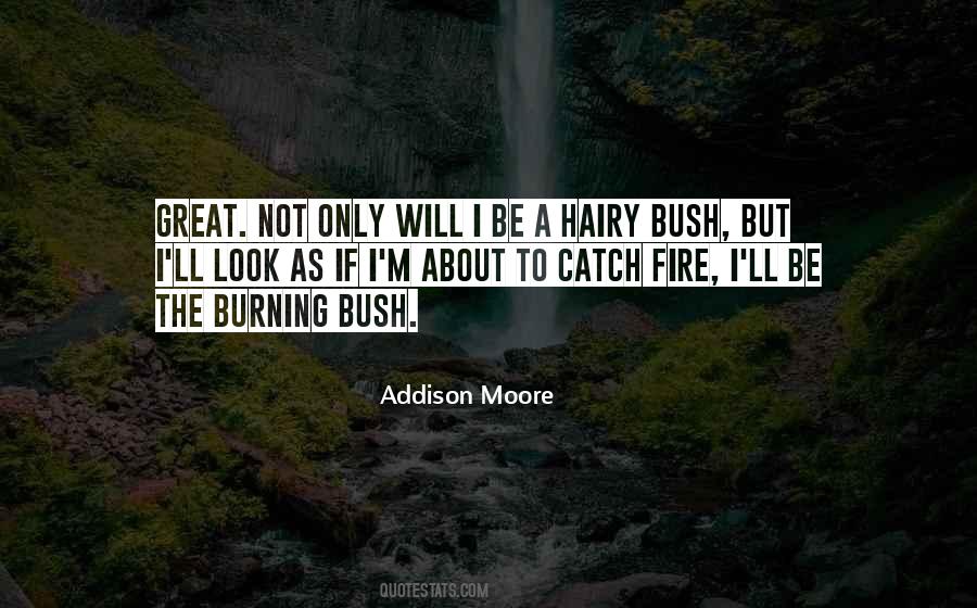 Quotes About Burning Fire #334322