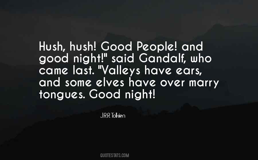 Not Good Enough To Marry Quotes #1285403