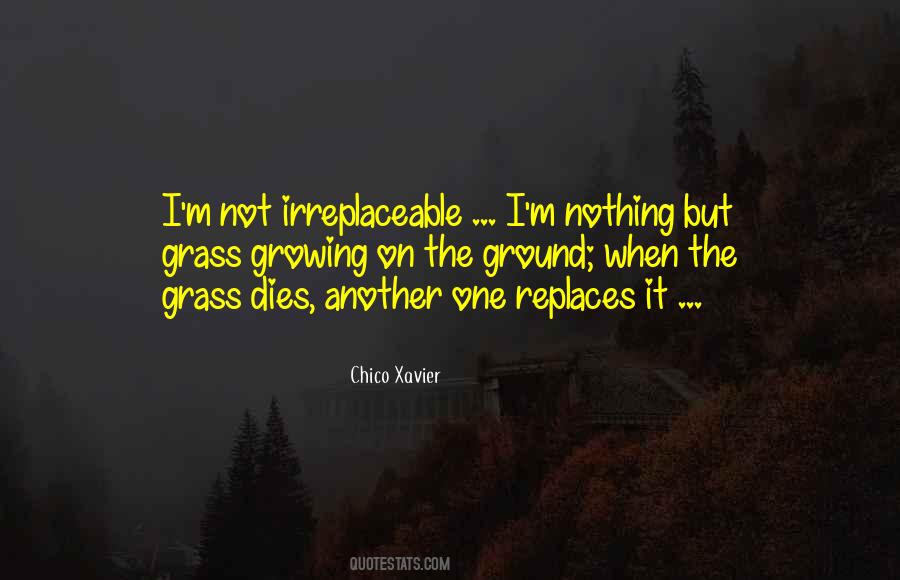 Not Irreplaceable Quotes #33461