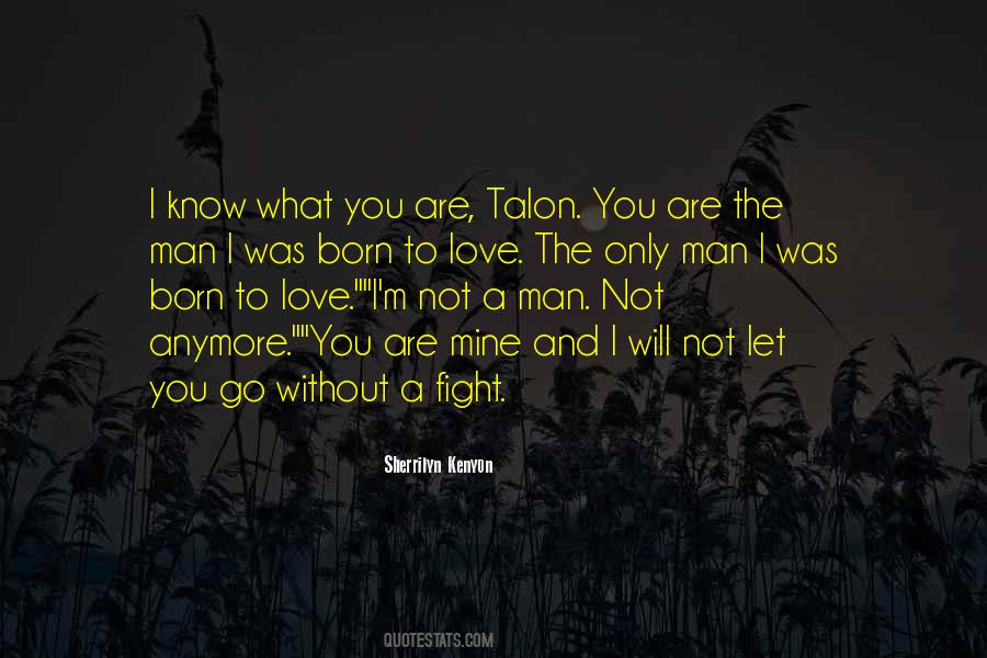 Not Let You Go Quotes #216892