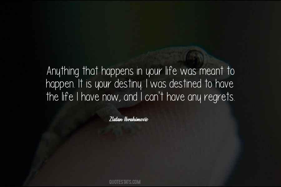Not Meant To Happen Quotes #52514